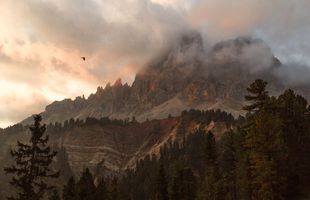 Uticaj velikih divljih požara na zdravlje ljudske populacije